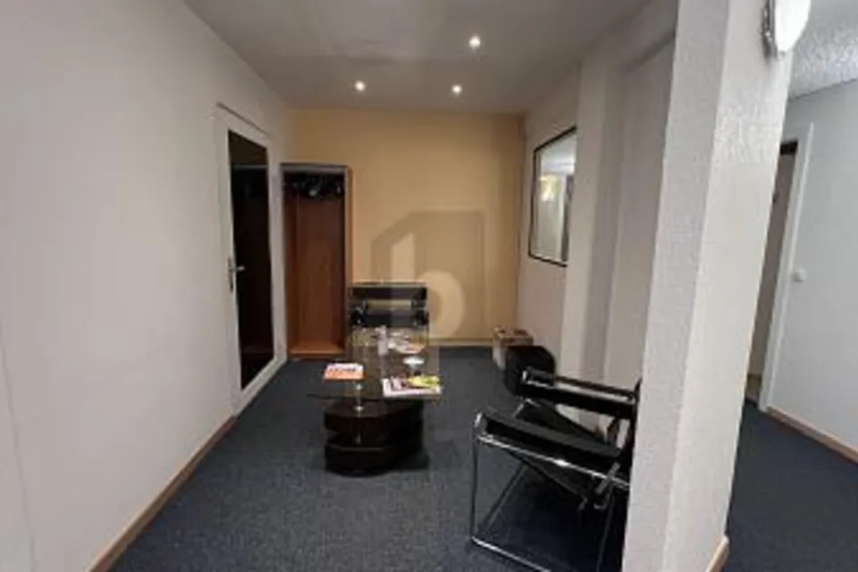 ESPACE DE BUREAUX INTEMPORELS ET PROCHE DU CENTRE, 1227 Carouge GE, Geneva, CH
