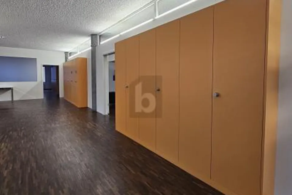 SPAZIO DI LAVORO MODERNO CON TERRAZZA, 9053 Teufen AR, Appenzell Ausserrhoden, CH