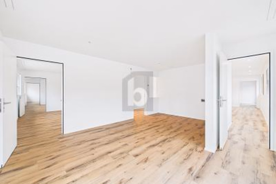 NOUVELLE CONSTRUCTION, LUMINEUX ET MODERNE AU COEUR DU VILLAGE !, 4460 Gelterkinden, Basel-Landschaft, CH