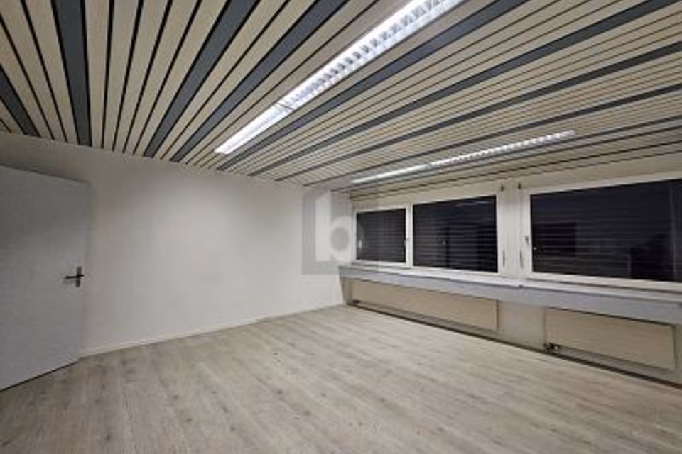 RISTRUTTURATO - PERSONALIZZABILE CON TERRAZZA, 8306 Brüttisellen, Zurich, CH