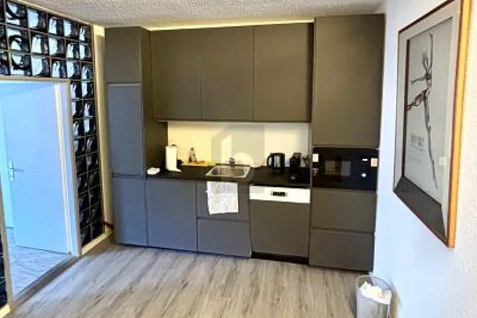 BELLO SPAZIO DI LAVORO IN CENTRO CITTÀ IN SUBAFFITTO, 1207 Genève, Geneva, CH