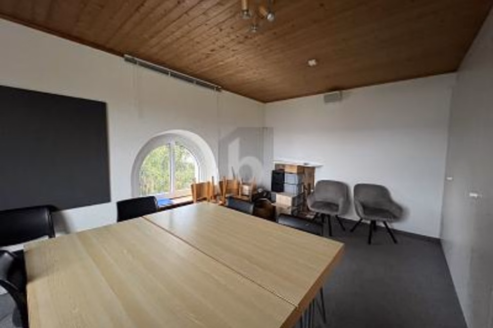 Inspirant, ouvert et plein de potentiel, 8620 Wetzikon ZH, Zurich, CH