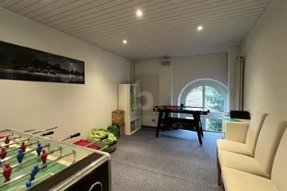 Inspirant, ouvert et plein de potentiel, 8620 Wetzikon ZH, Zurich, CH