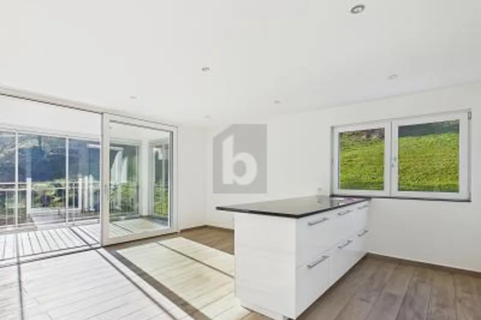 RAPPRESENTATIVO IN POSIZIONE TRANQUILLA, 6015 Luzern, Lucerne, CH