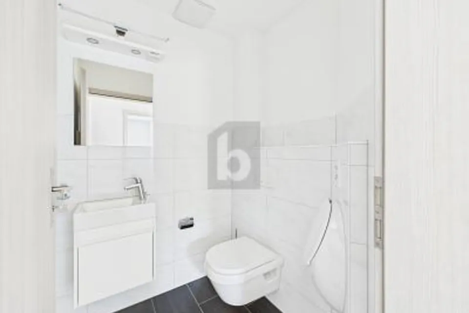 RAPPRESENTATIVO IN POSIZIONE TRANQUILLA, 6015 Luzern, Lucerne, CH