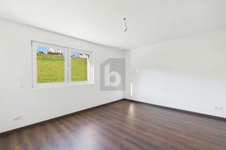 RAPPRESENTATIVO IN POSIZIONE TRANQUILLA, 6015 Luzern, Lucerne, CH