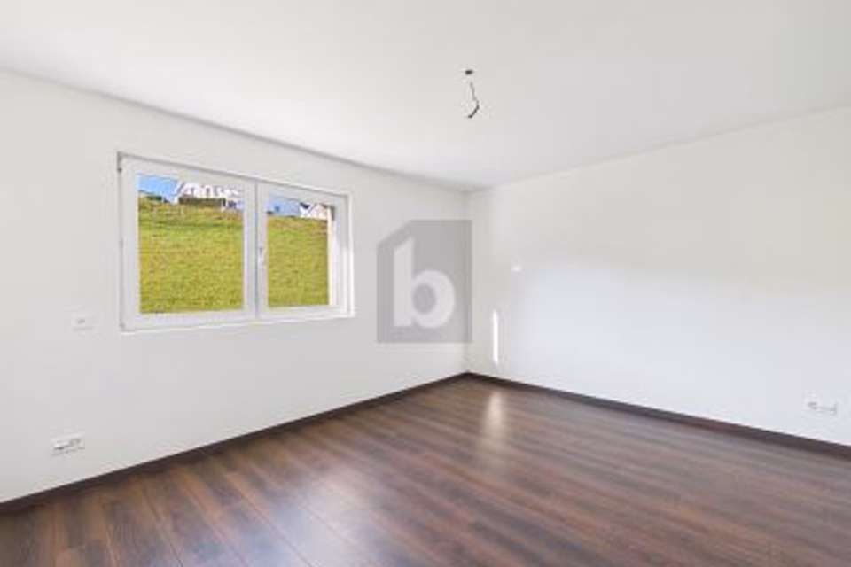REPRÉSENTATIF DANS UN EMPLACEMENT CALME, 6015 Luzern, Lucerne, CH