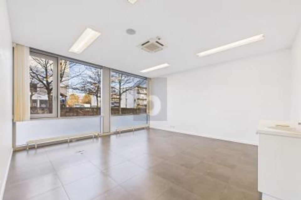 CABINET & BUREAU - SOUS-LOCATION POSSIBLE, 1260 Nyon, Vaud, CH