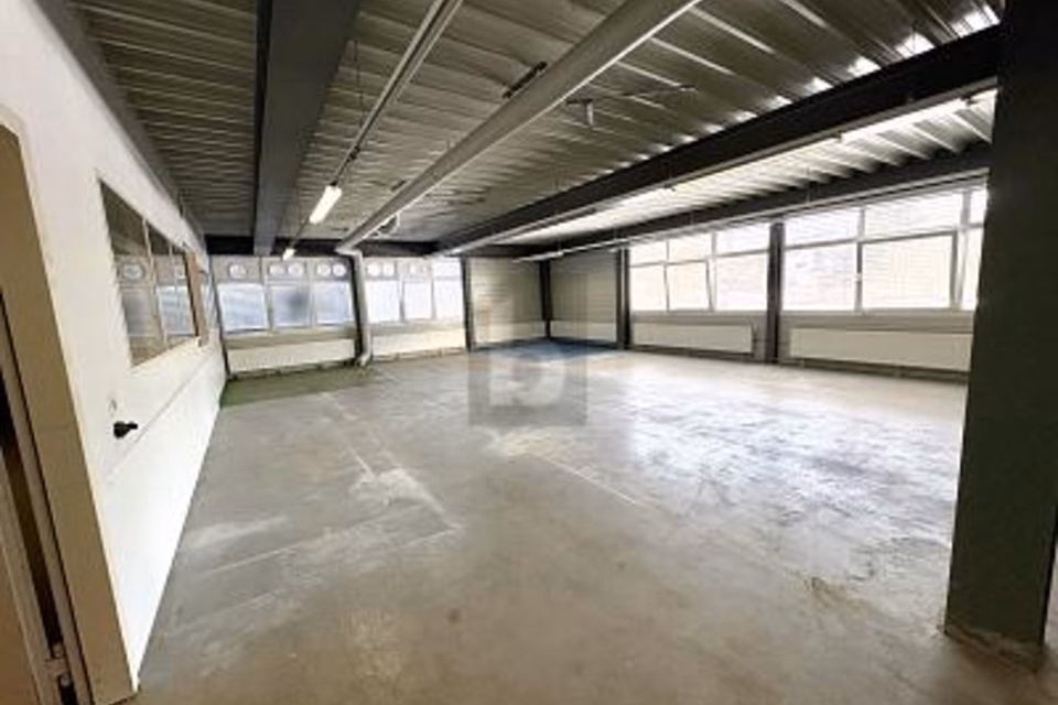 SURFACE POLYVALENTE, 8630 Rüti ZH, Zurich, CH
