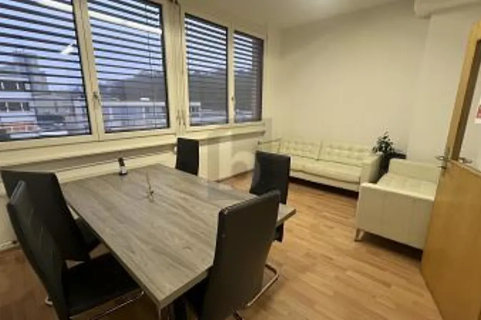 LUMINEUX, CENTRAL, FONCTIONNEL, POLYVALENT, 1227 Les Acacias, Geneva, CH