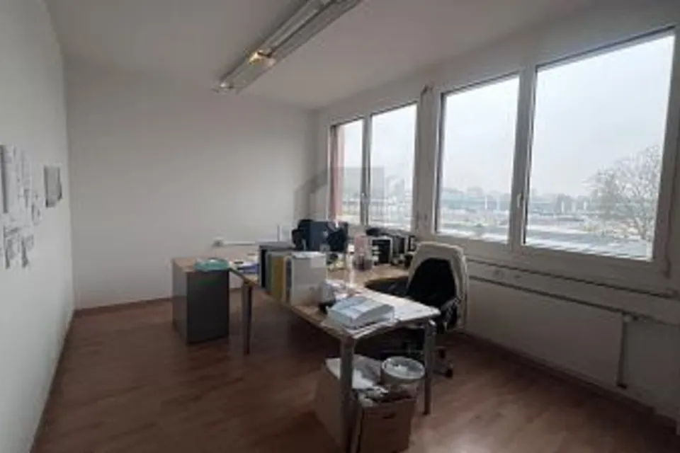 LUMINEUX, CENTRAL, FONCTIONNEL, POLYVALENT, 1227 Les Acacias, Geneva, CH