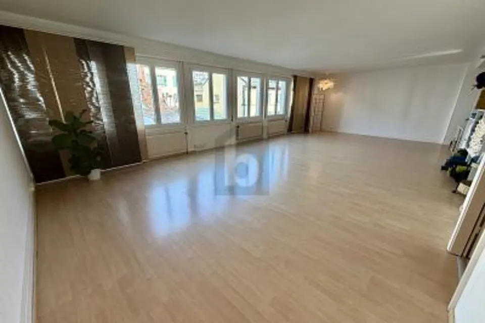 CENTRAL, LUMINEUX & FLEXIBLE, 1003 Lausanne, Vaud, CH