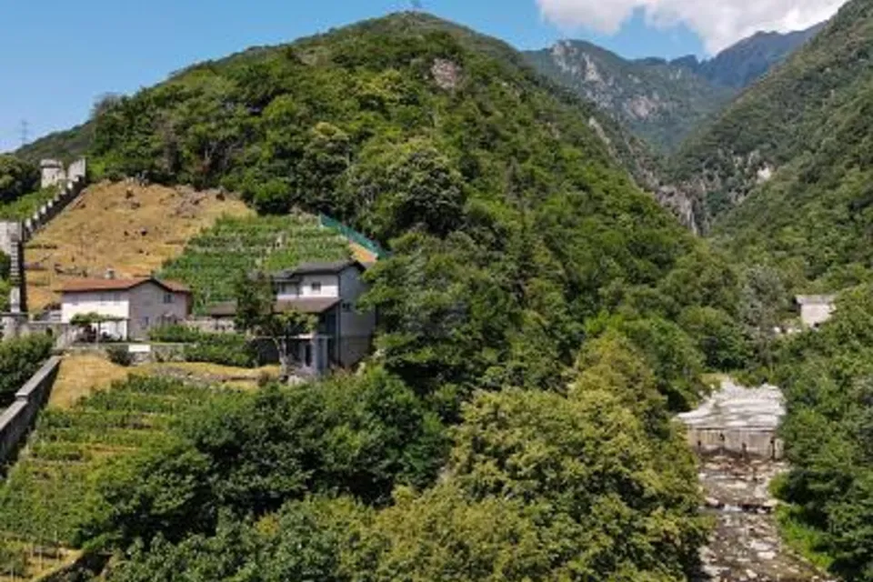 PRODUZIONE E ACCOGLIENZA IN POSIZIONE IDEALE, 6514 Sementina, Ticino, CH