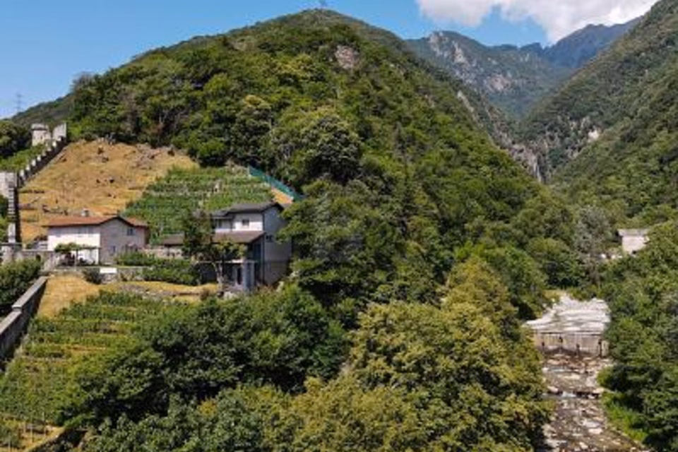 PRODUCTION ET ACCUEIL DANS UN EMPLACEMENT IDÉAL, 6514 Sementina, Ticino, CH