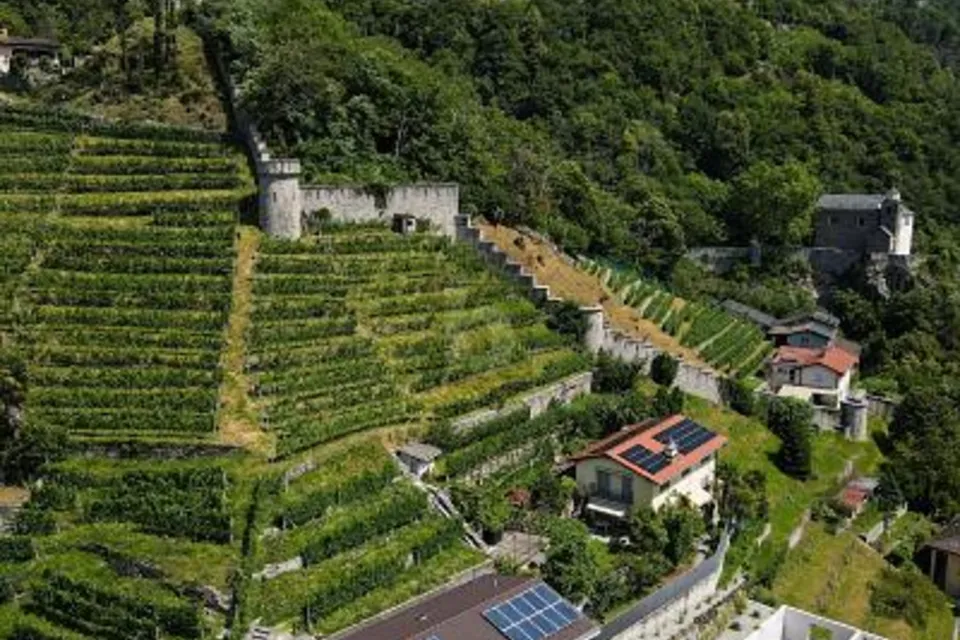PRODUZIONE E ACCOGLIENZA IN POSIZIONE IDEALE, 6514 Sementina, Ticino, CH