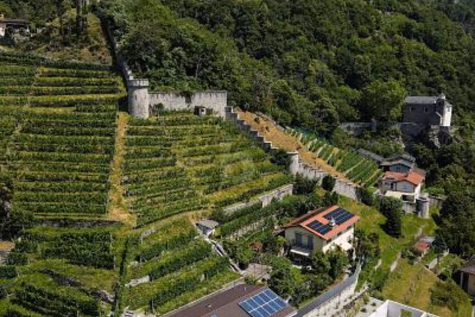 PRODUCTION ET ACCUEIL DANS UN EMPLACEMENT IDÉAL, 6514 Sementina, Ticino, CH