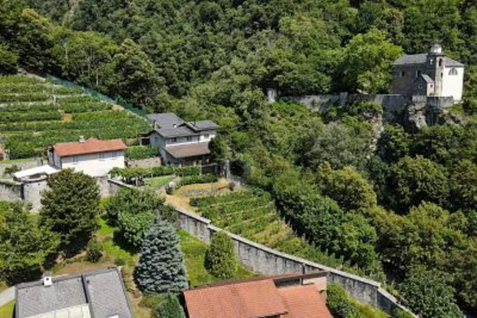 PRODUZIONE E ACCOGLIENZA IN POSIZIONE IDEALE, 6514 Sementina, Ticino, CH