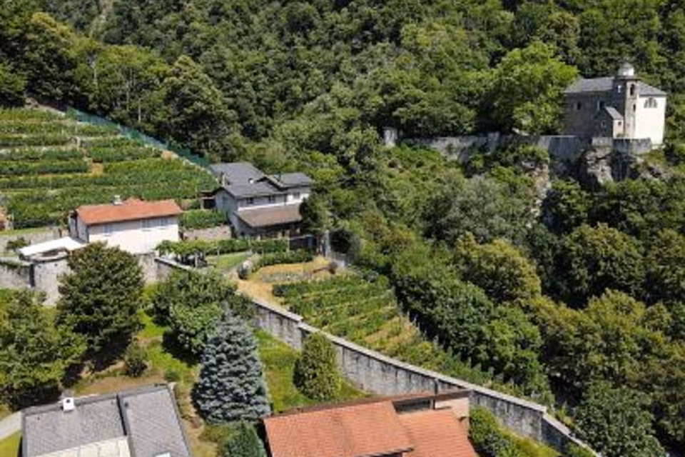 PRODUCTION ET ACCUEIL DANS UN EMPLACEMENT IDÉAL, 6514 Sementina, Ticino, CH