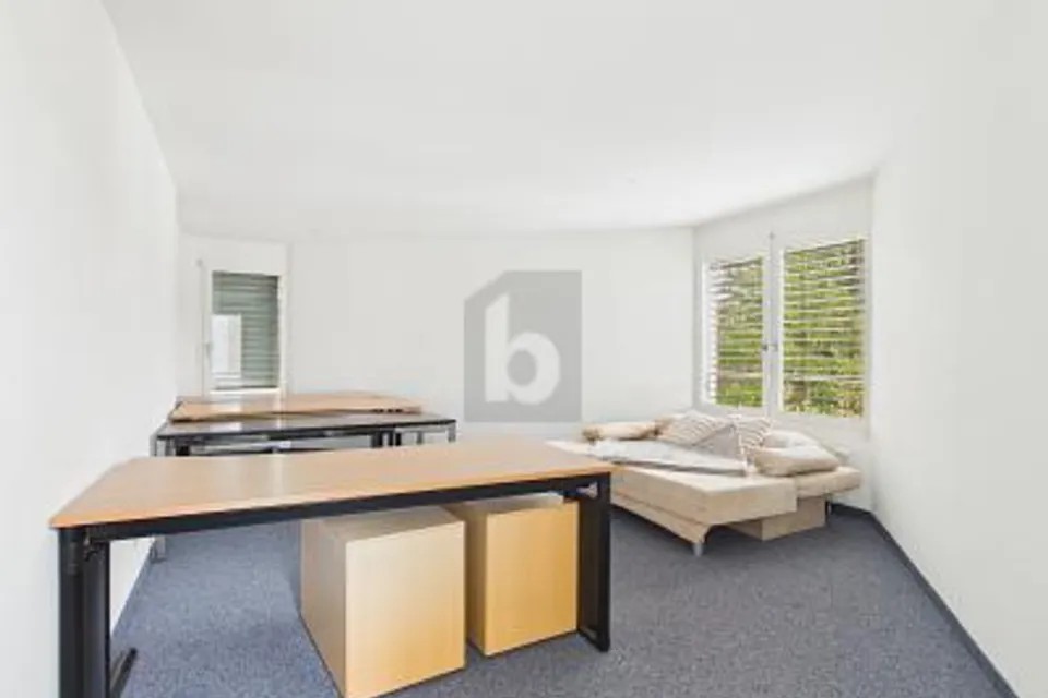 FLESSIBILE - IN OTTIMA POSIZIONE, 8600 Dübendorf, Zurich, CH
