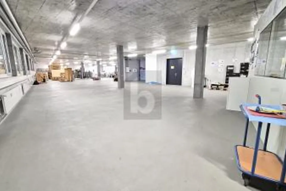 SPACIOUS WITH PRIVATE DRIVEWAY, 8157 Dielsdorf, Zurich, CH