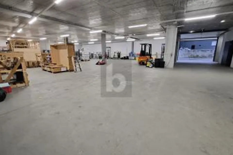 SPACIOUS WITH PRIVATE DRIVEWAY, 8157 Dielsdorf, Zurich, CH