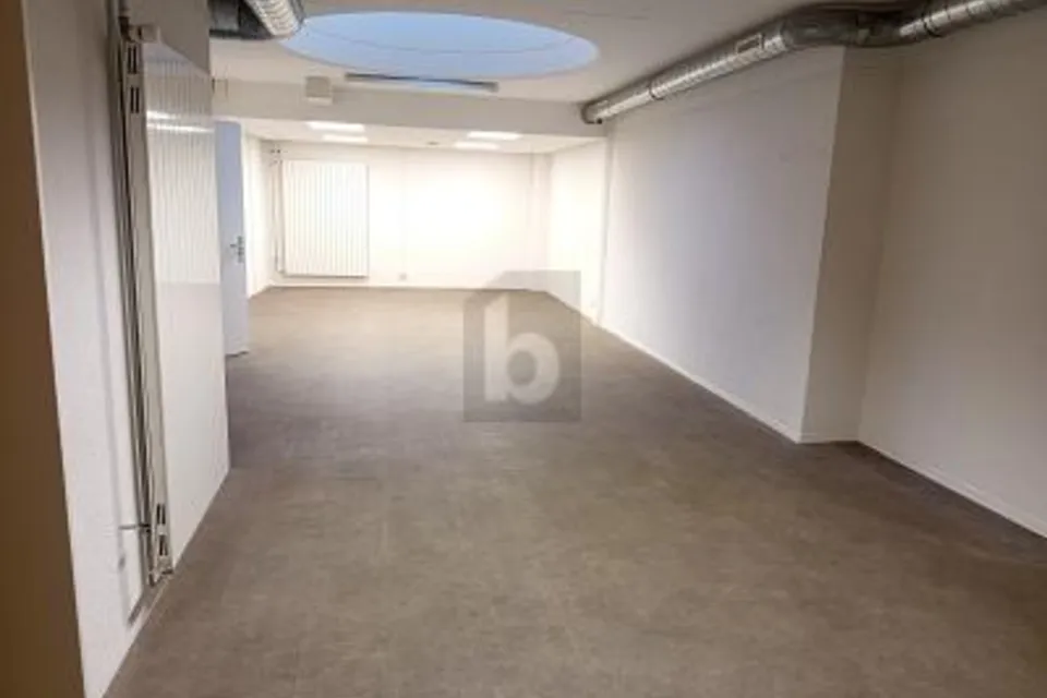 DINAMICO, CONFORTEVOLE & CENTRALE, 1018 Lausanne, Vaud, CH