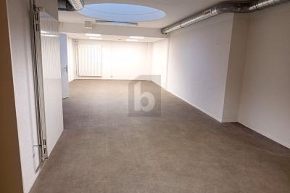 DYNAMIC, COMFORTABLE & CENTRAL, 1018 Lausanne, Vaud, CH