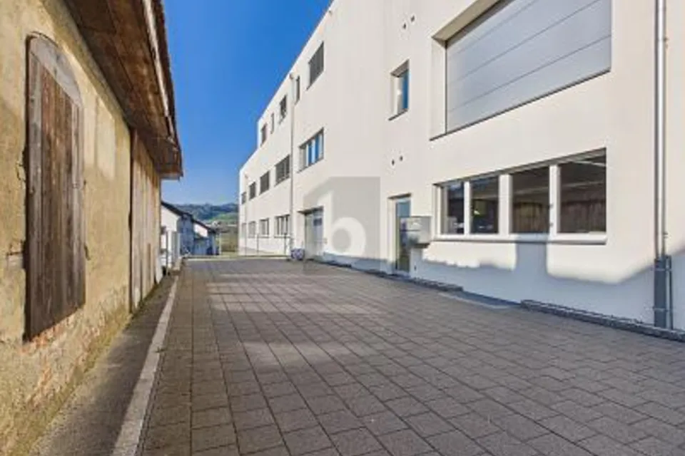 OFFICINA MODERNA PER USO FLESSIBILE, 6280 Hochdorf, Lucerne, CH