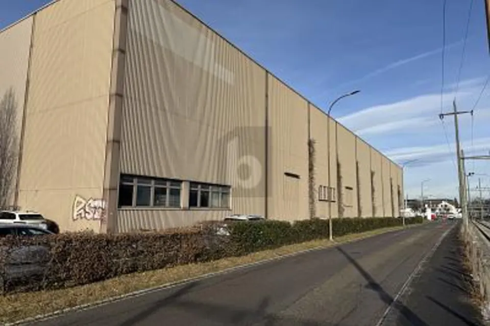 GROSSZÜGIG UND REPRÄSENTATIV, MIT LKW-RAMPEN, 4142 Münchenstein, Basel-Landschaft, CH