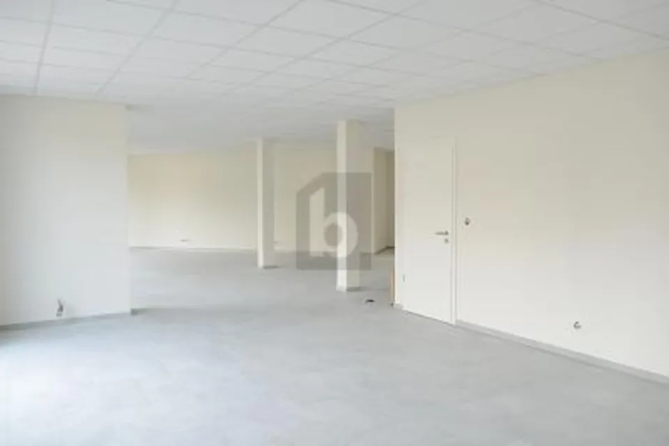 BRIGHT AND MODERN SPACE, 1026 Denges, Vaud, CH