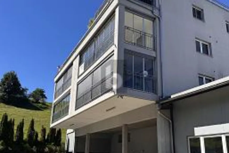 RAPPRESENTATIVO IN POSIZIONE TRANQUILLA, 6015 Luzern, Lucerne, CH