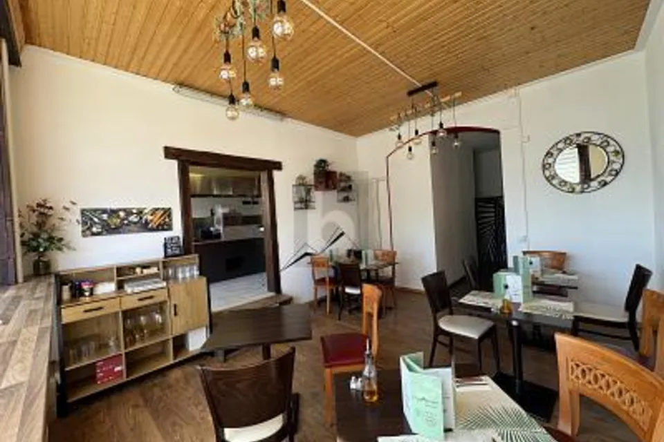 RENTABLE, ÉTABLI & CLÉ EN MAIN, 1854 Leysin, Vaud, CH