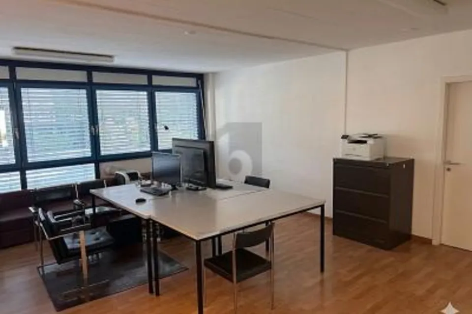 SPAZIO DI LAVORO IN ZONA ARTIGIANALE IN SUBAFFITTO, 1225 Chêne-Bourg, Geneva, CH