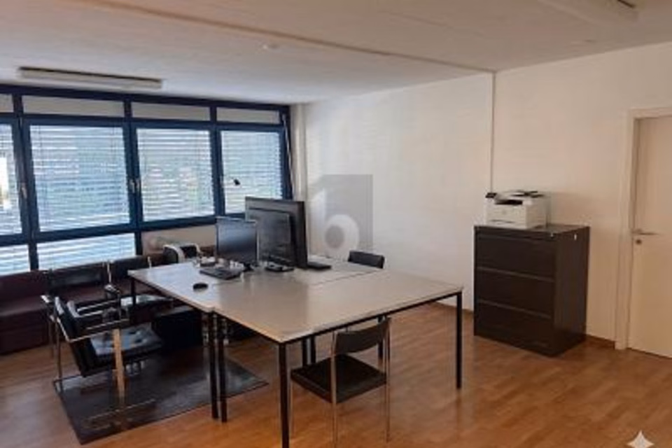 WORKSPACE IN ARTISANAL/INDUSTRIAL AREA FOR SUBLEASE, 1225 Chêne-Bourg, Geneva, CH