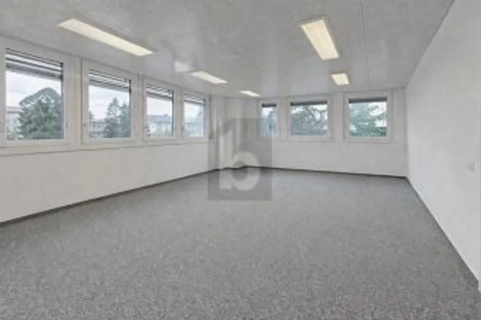 SUPERFICIE LUMINOSA IN UN AMBIENTE TRANQUILLO, 1027 Lonay, Vaud, CH
