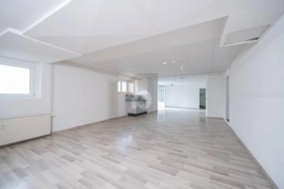 CENTRAL, FLEXIBLE & FONCTIONNEL, 4414 Füllinsdorf, Basel-Landschaft, CH