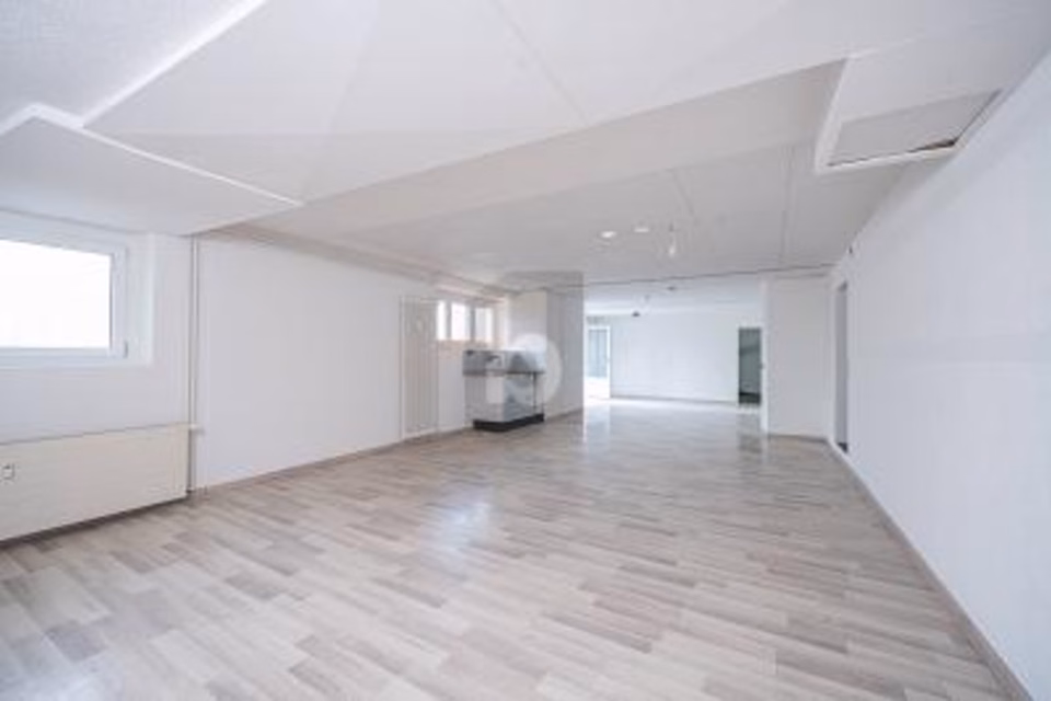CENTRAL, FLEXIBLE & FONCTIONNEL, 4414 Füllinsdorf, Basel-Landschaft, CH