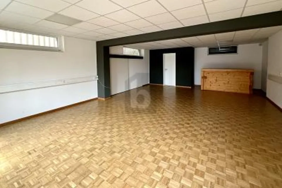 UFFICIO A PIANO TERRA CON PARCHEGGIO IN Z.I., 1242 Satigny, Geneva, CH