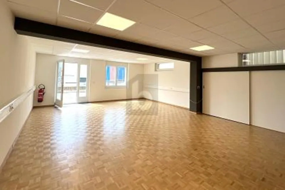 UFFICIO A PIANO TERRA CON PARCHEGGIO IN Z.I., 1242 Satigny, Geneva, CH