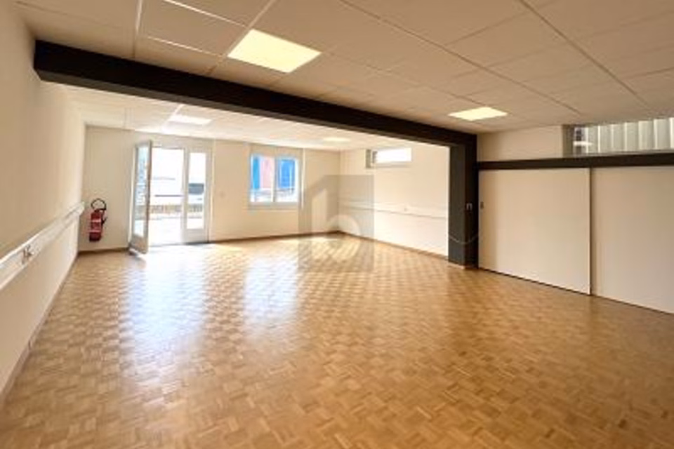 UFFICIO A PIANO TERRA CON PARCHEGGIO IN Z.I., 1242 Satigny, Geneva, CH