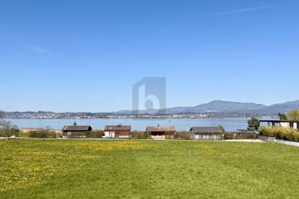 EXCLUSIF, ENSOLEILLÉ ET AVEC BIEN IMMOBILIER EXISTANT, 8852 Altendorf, Schwyz, CH
