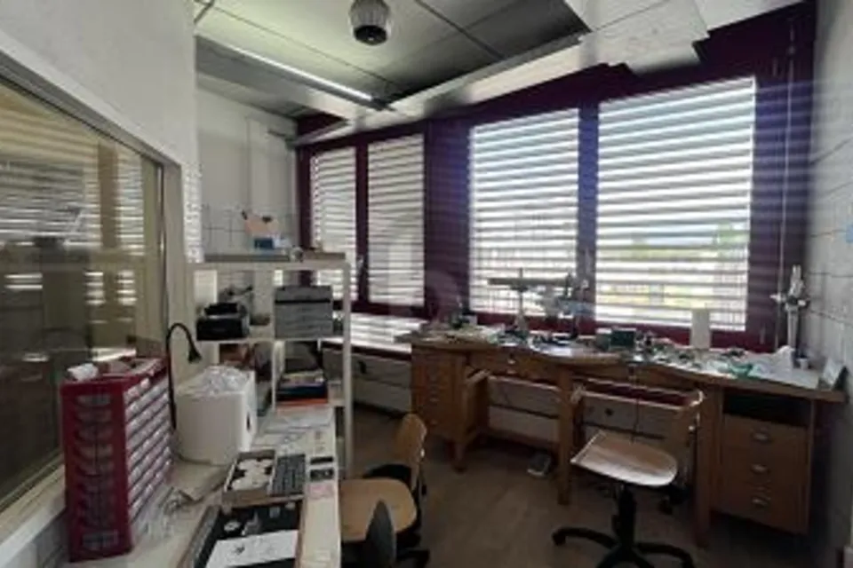 SPAZIOSO, FLESSIBILE E IDEALMENTE SITUATO, 1227 Carouge GE, Geneva, CH