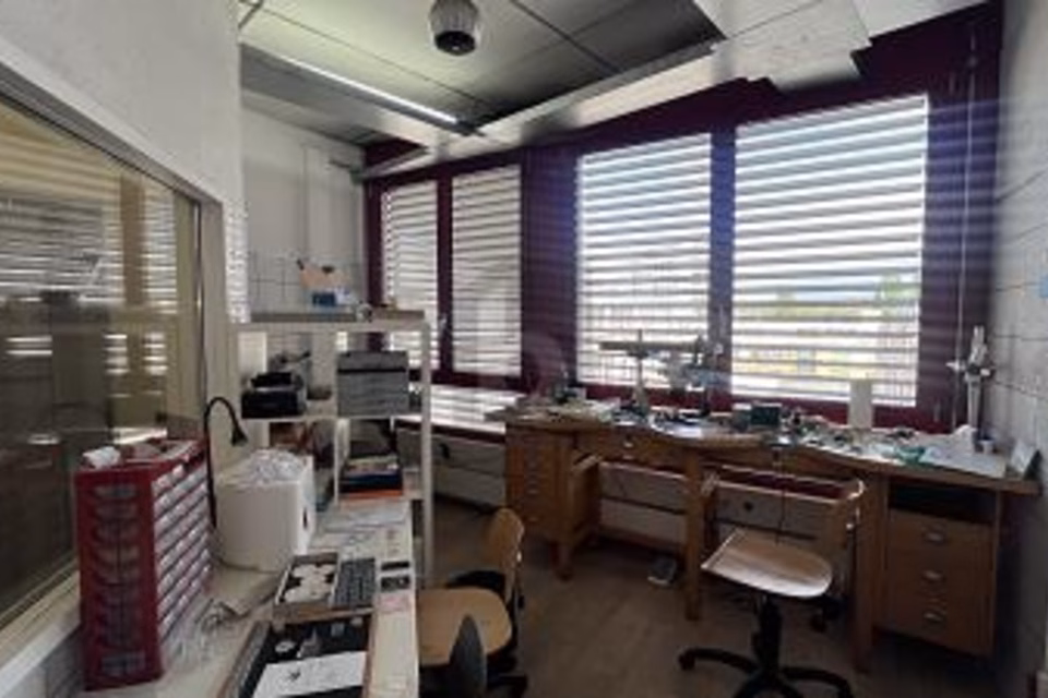 GERÄUMIG, FLEXIBEL & IDEAL GELEGEN, 1227 Carouge GE, Geneva, CH