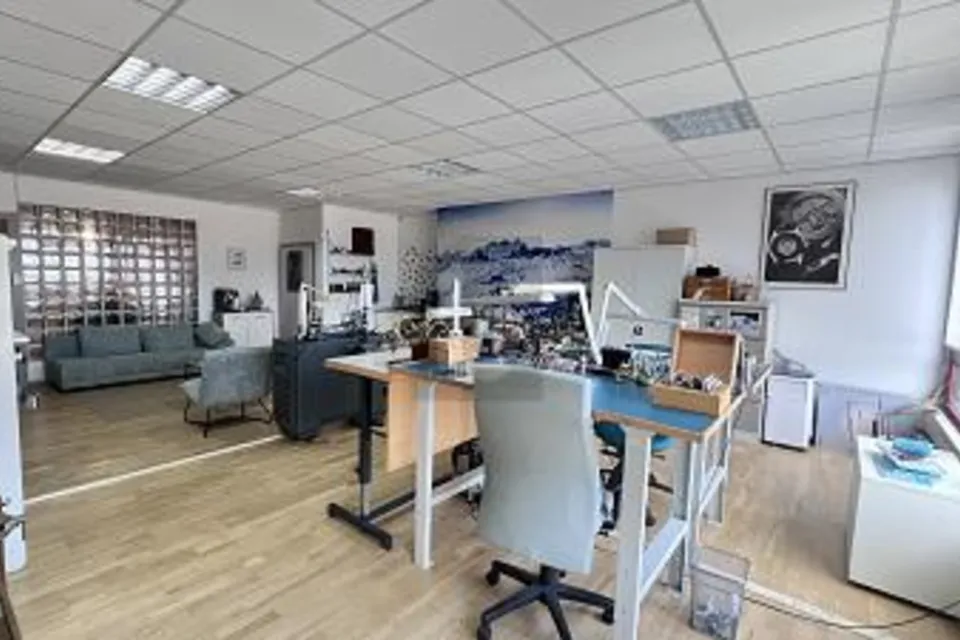 LUMINEUX, CALME & PRATIQUE, 1227 Carouge GE, Geneva, CH