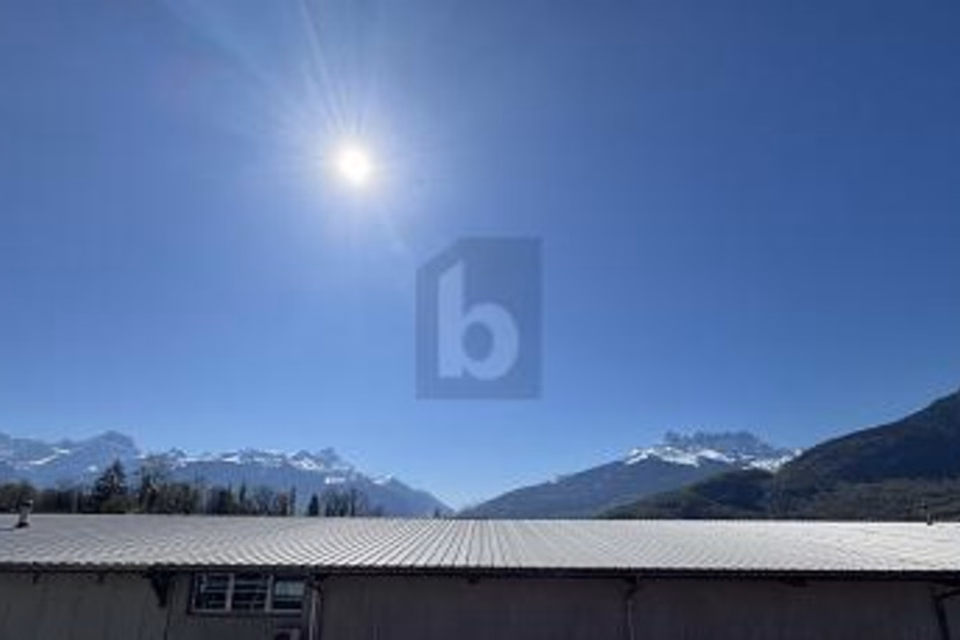 HALLE DOUBLE COMPLÈTEMENT NEUVE !, 1868 Collombey, Valais/Wallis, CH