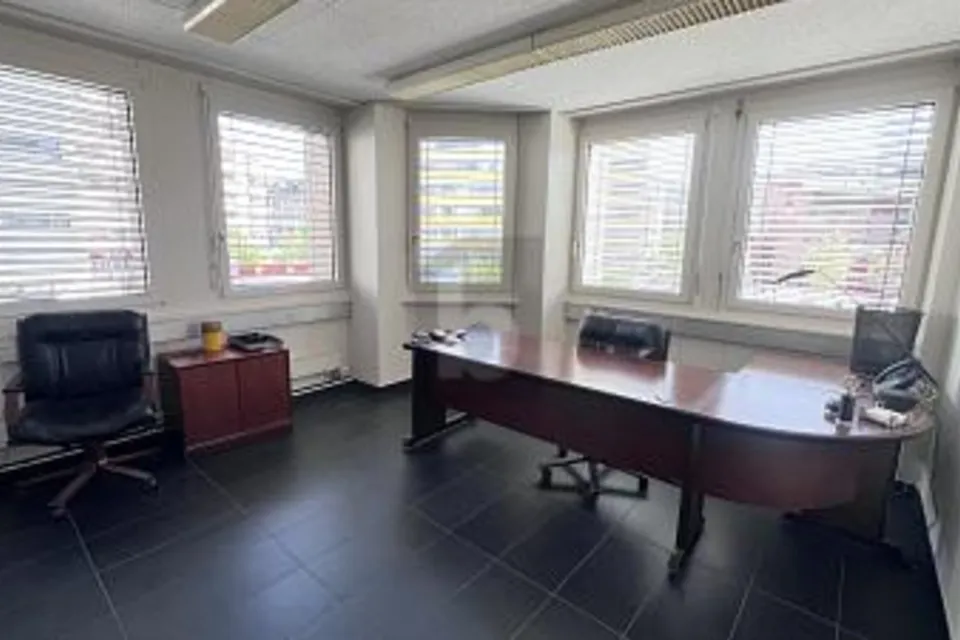 RENOVATED, FUNCTIONAL & BRIGHT, 1225 Chêne-Bourg, Geneva, CH