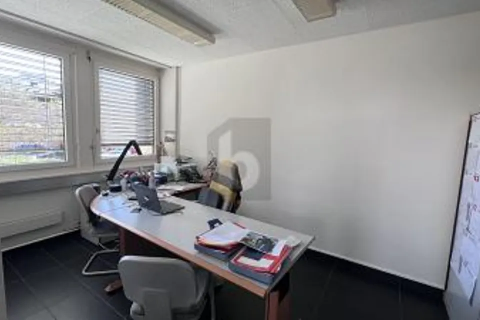 RENOVATED, FUNCTIONAL & BRIGHT, 1225 Chêne-Bourg, Geneva, CH