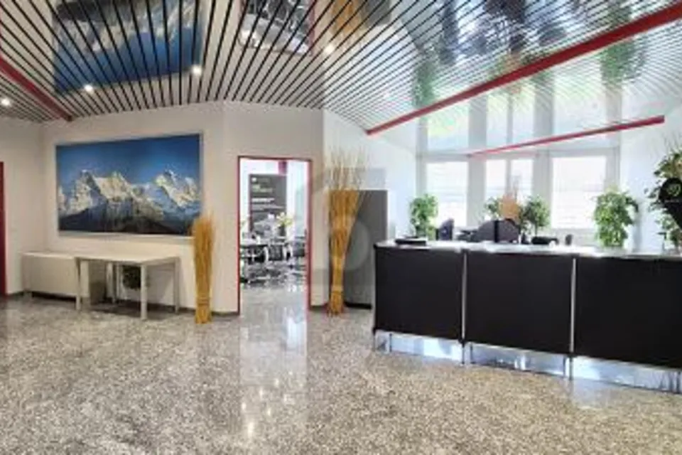 AMPIO, LUMINOSO & BEN COLLEGATO, 8952 Schlieren, Zurich, CH