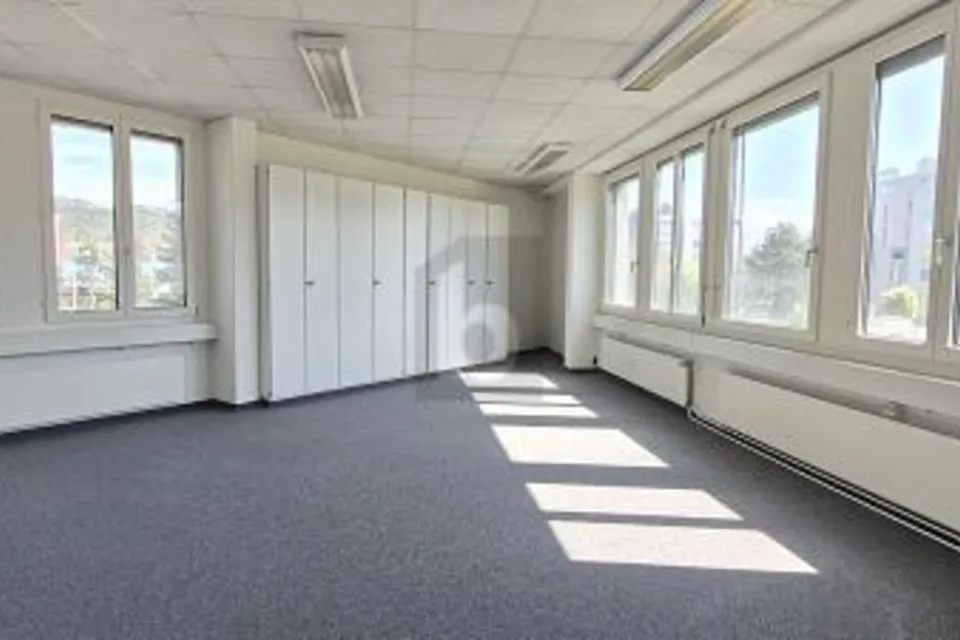 Proche de la gare — idéal pour des sessions de coaching, 8952 Schlieren, Zurich, CH
