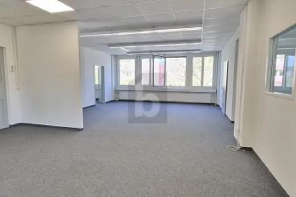 Proche de la gare — idéal pour des sessions de coaching, 8952 Schlieren, Zurich, CH